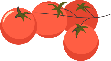 tomato branch PNG, SVG
