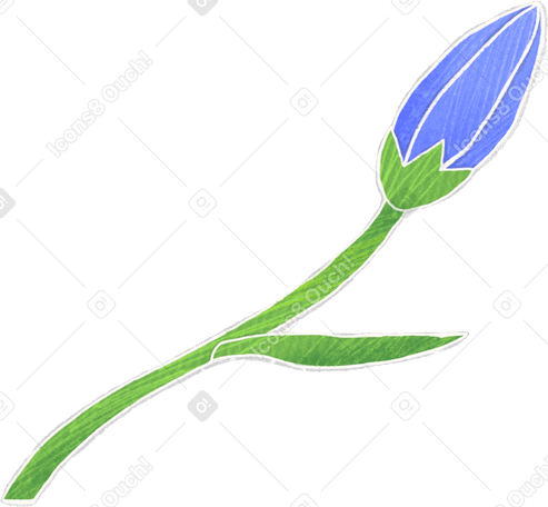 blue bell bud on a long stem Illustration in PNG, SVG