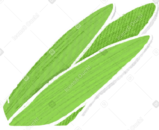 green leaves Illustration in PNG, SVG