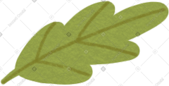 Green leaf PNG, SVG