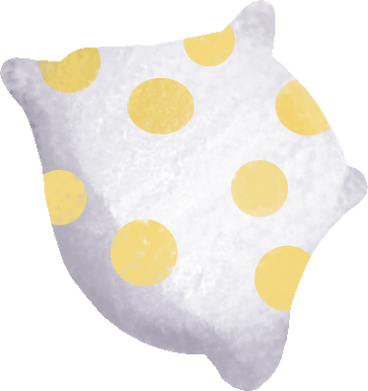pillow PNG, SVG
