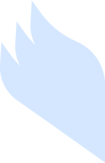 angel wing PNG, SVG