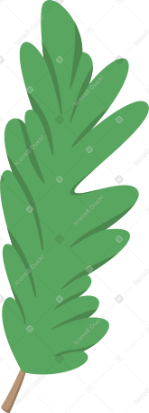 Raminho de árvore de natal PNG, SVG