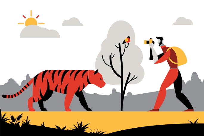 Man taking a photo of a bird not seeing the fatal danger from tiger Illustration in PNG, SVG