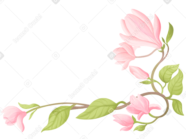 Composición de esquina con flores de magnolia. PNG, SVG