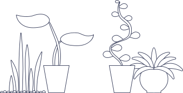Растения на заднем плане в PNG, SVG