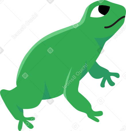 green frog PNG, SVG