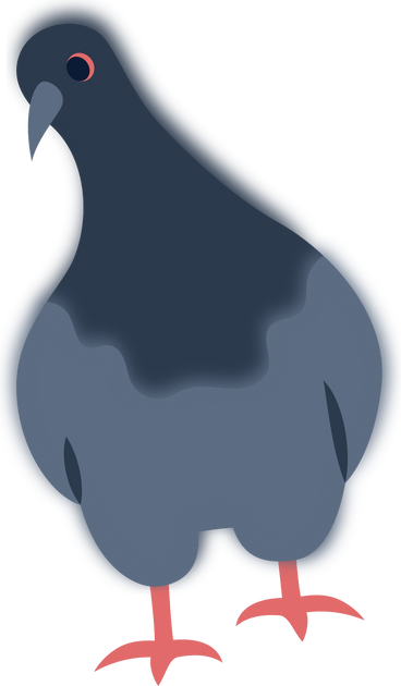 Голубь в PNG, SVG