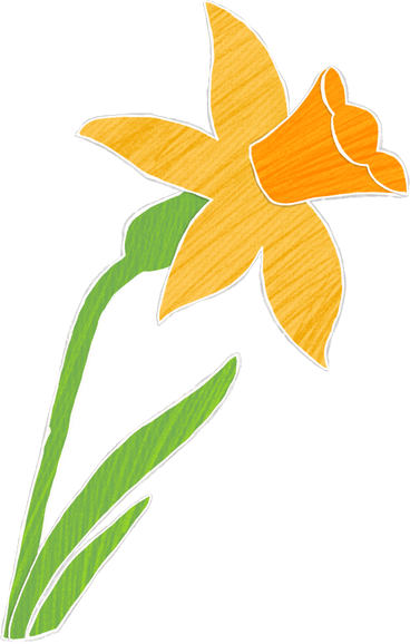 큰 노란 수선화 꽃 PNG, SVG
