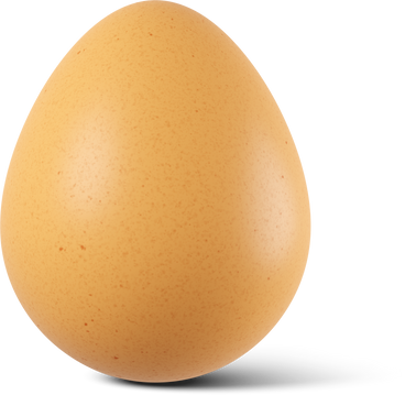 egg PNG、SVG