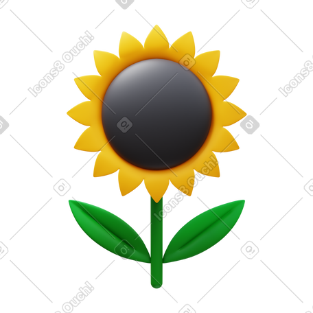 3D sunflower PNG, SVG