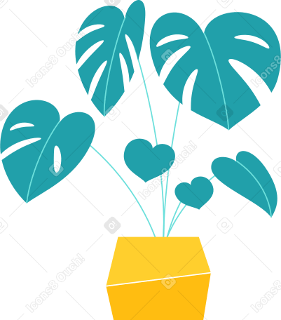monstera flower in a pot Illustration in PNG, SVG