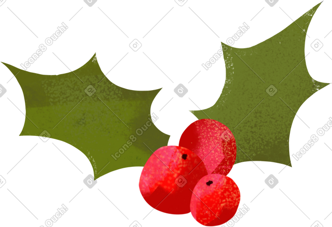 christmas holly plant PNG, SVG