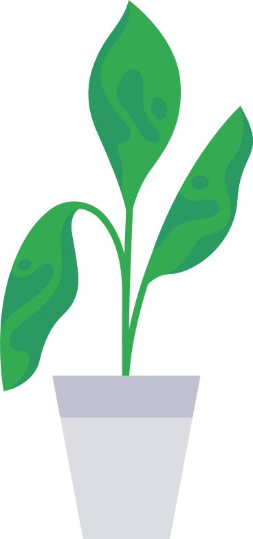 plant animated illustration in GIF, Lottie (JSON), AE
