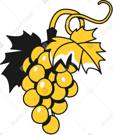 grape Illustration in PNG, SVG