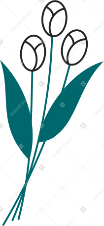 three tulips Illustration in PNG, SVG