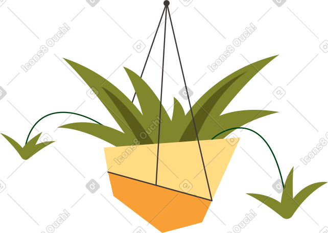 植物吊兰 PNG, SVG