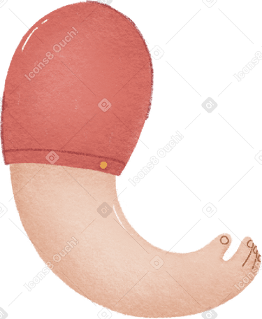 рука девушки в PNG, SVG