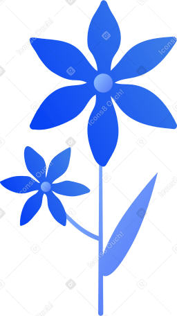 цветы в PNG, SVG