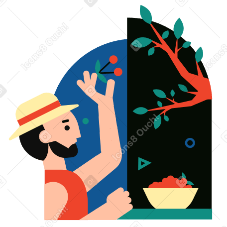 Cherry harvest Illustration in PNG, SVG