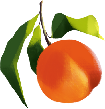 Peach on branch PNG, SVG