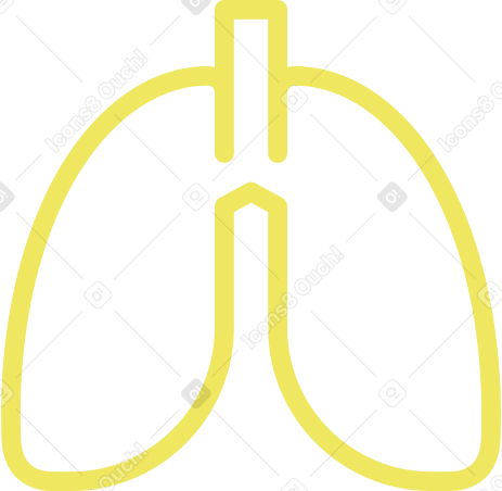 yellow linear lungs Illustration in PNG, SVG
