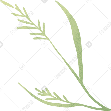 two small blades of grass PNG, SVG