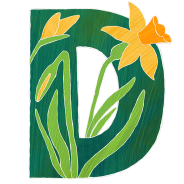 Capital d with daffodils PNG, SVG