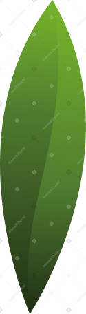 1 つの小さな緑の葉 PNG、SVG