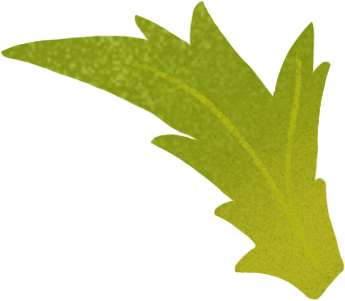 small green poppy leaf PNG, SVG