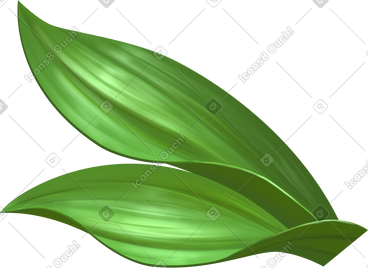 Thick grass leaves PNG, SVG