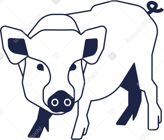 pig Illustration in PNG, SVG