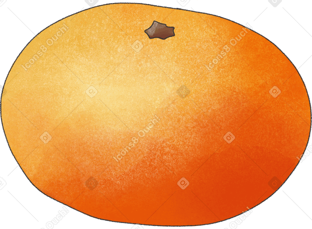 orange mandarin Illustration in PNG, SVG