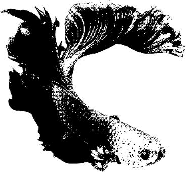 魚 PNG、SVG
