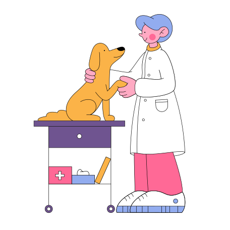 Иллюстрация Ветеринар осматривает собаку в PNG и SVG