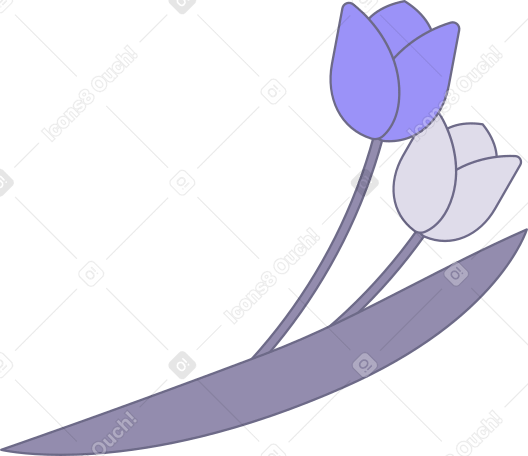 тюльпаны в PNG, SVG