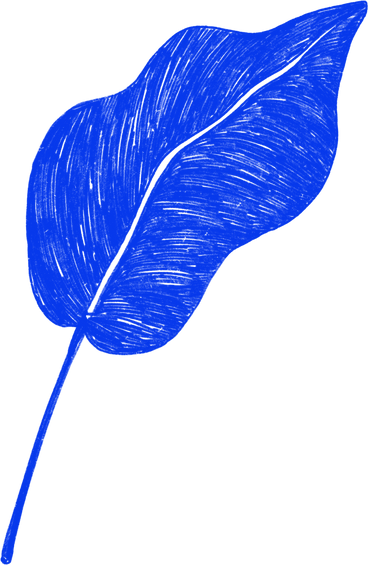 blue leaf plant PNG, SVG