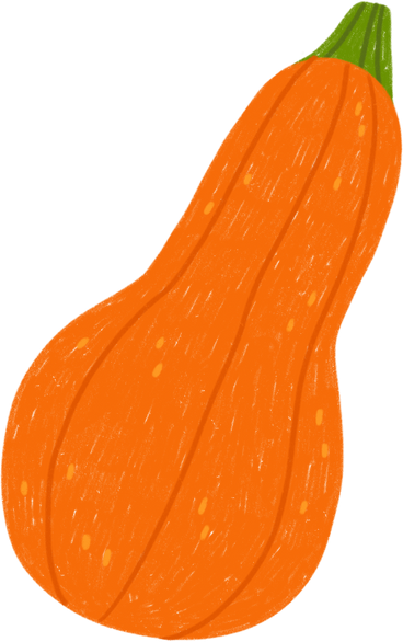 Pumpkin PNG、SVG