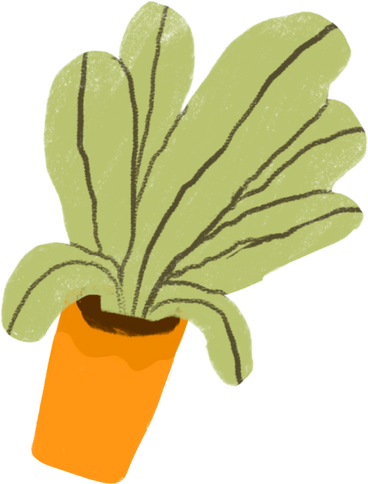 green salad in a cup PNG, SVG