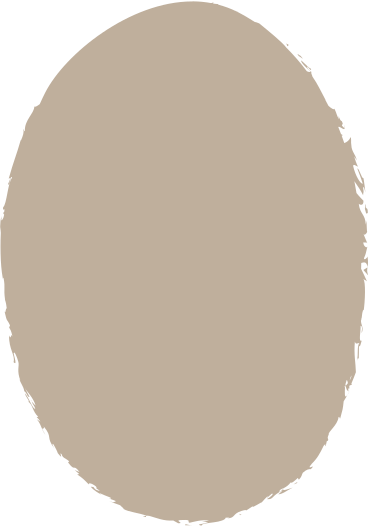 Light grey ellipse PNG、SVG