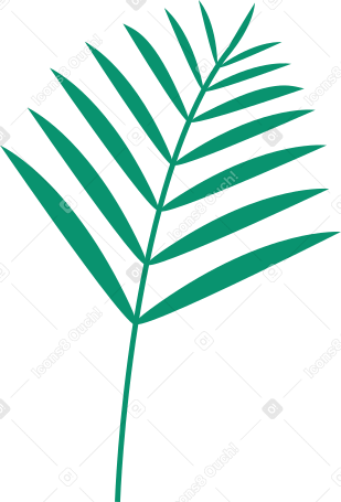 green leaf of palm plant PNG, SVG