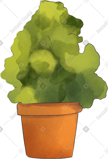 Plant in the pot PNG, SVG