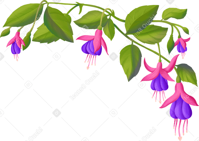 arrangement of fuchsia flowers on a green branch PNG, SVG