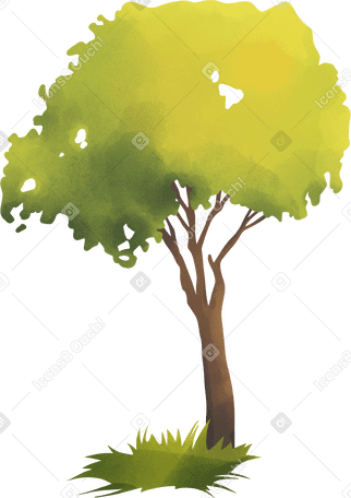 green tree Illustration in PNG, SVG