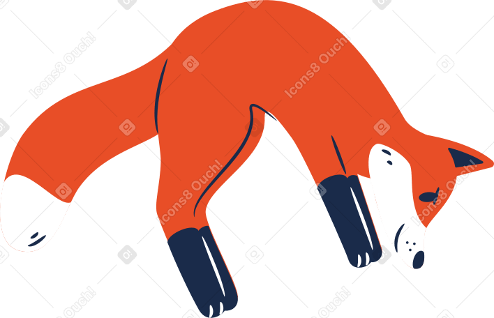 fox jumping Illustration in PNG, SVG