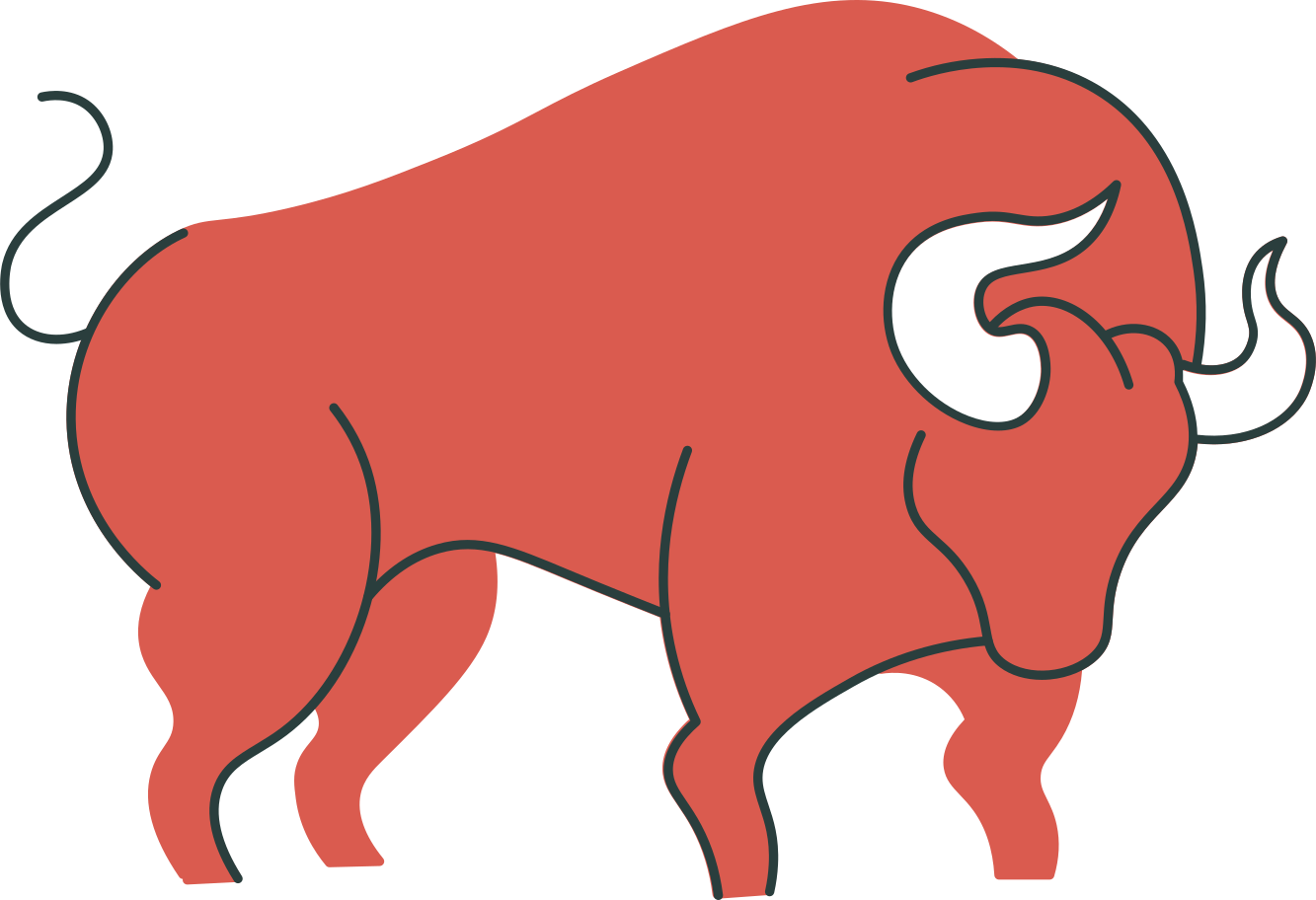 bull Illustration in PNG, SVG