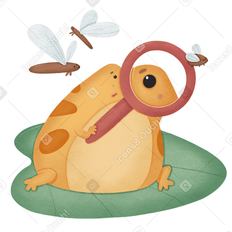 Frog looking into magnifying glass PNG, SVG