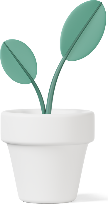 white pot with green leaves PNG, SVG