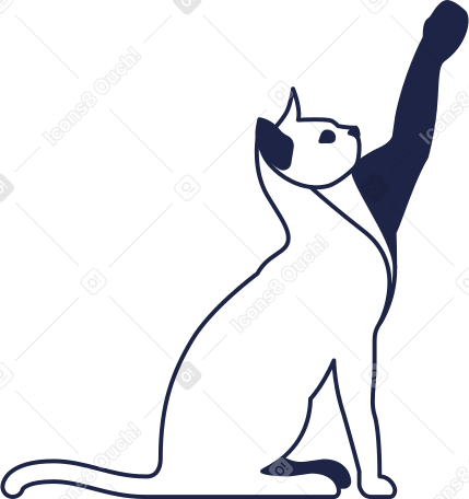 cat line Illustration in PNG, SVG
