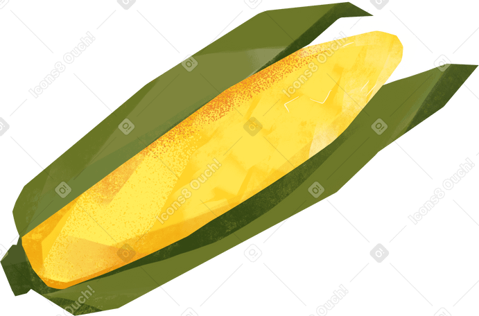 corn Illustration in PNG, SVG